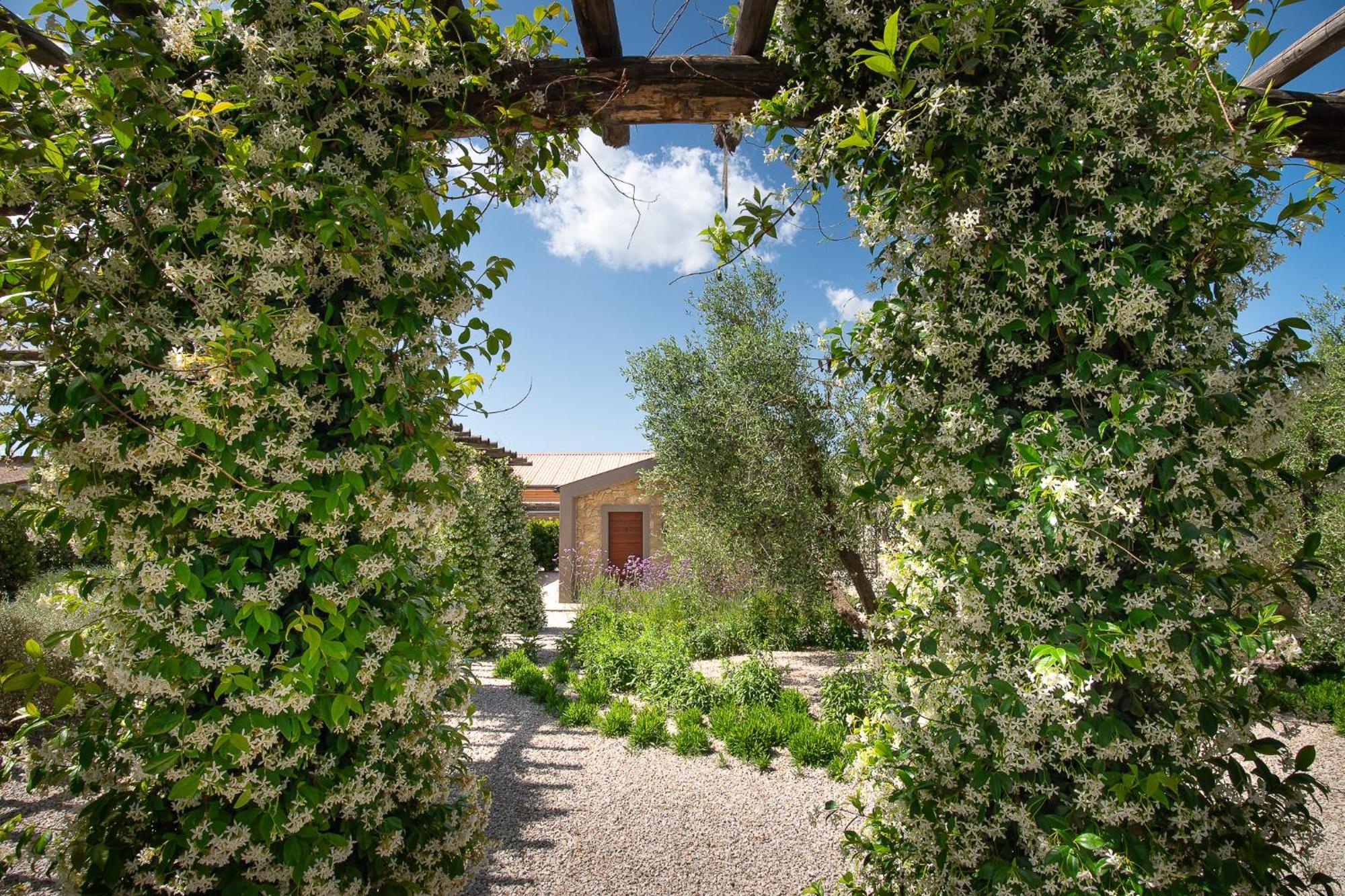 Agriturismo Resort Il Foionco Massa Marittima Exteriér fotografie